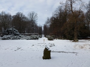 Schlosspark Reichstädt im Winter